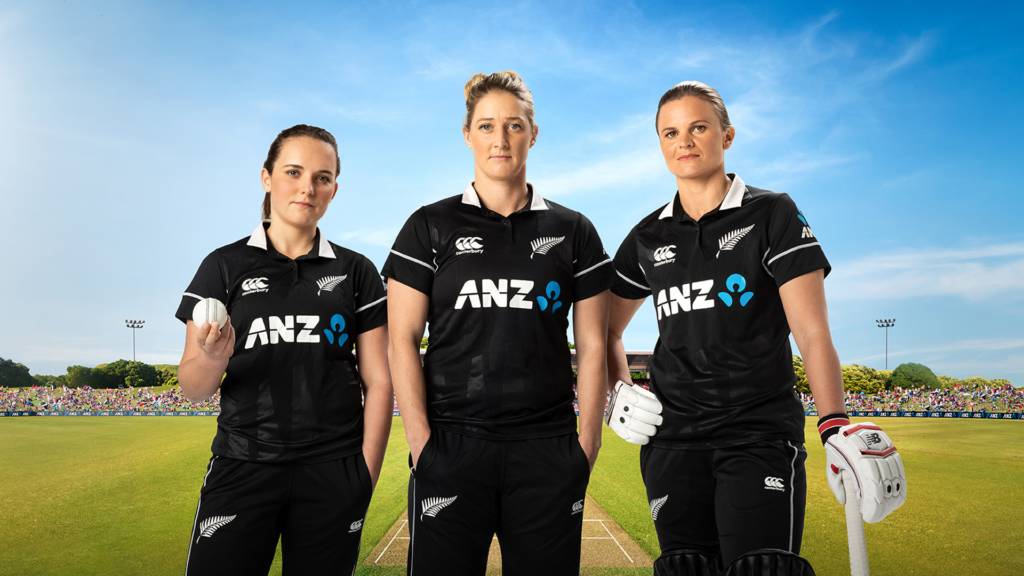 Nepali banks sponsorship NPL